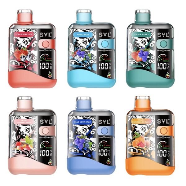 svl-bx12000.jpg SVL BX12000